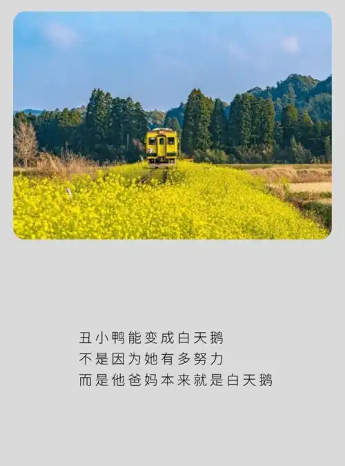  表情包放不下的只有筷子