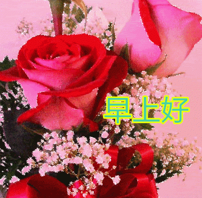  别为感情伤透,你会迷失方向别在阴影里彷徨,你会错过暖阳,早安