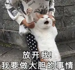  猫咪表情包合集你看我像猪吗