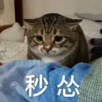  怂成一团表情包图片微信头像图片大全