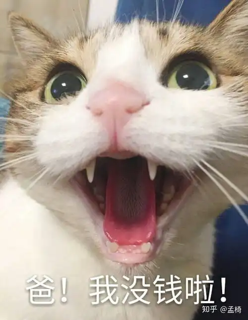  和父母聊天使用表情包会有什么奇异效果