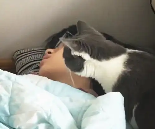  看这位小姐姐的表情,就知道猫放屁有多臭了,硬生生给熏醒了