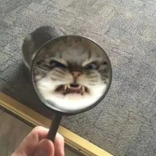  热门情头
