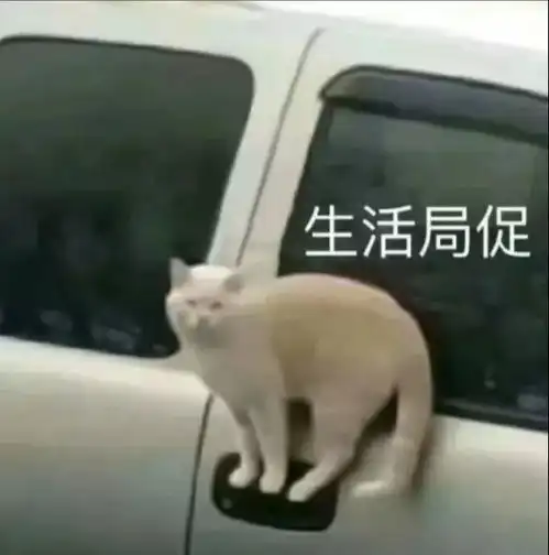  大学生每月1000块钱生活费真的够吗网友热议