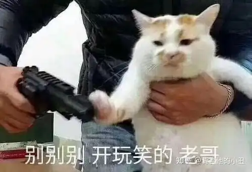 火眼精金表情包听这首歌