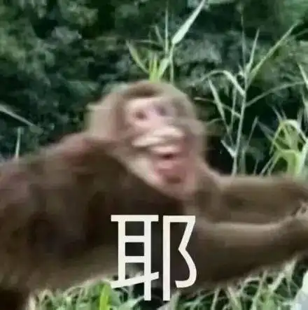 野人图片表情包沙雕