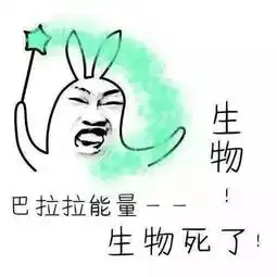  表情包魔法助力,高考加油鸭