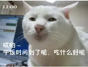  猫咪搞笑屌丝表情演绎上班族的一天