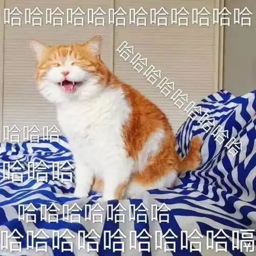  北科大最快挣钱方式已经开启