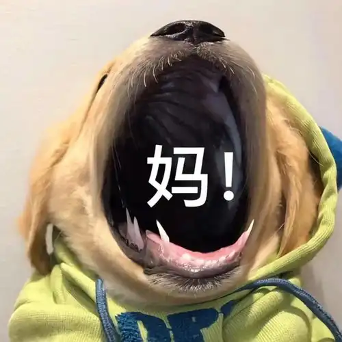  表情包好冷要抱抱