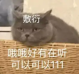  每日表情包别说了,肥猪