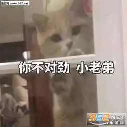  你不对劲小老弟猫咪表情包你这个女人很多话啊表情包下载乐游网游戏下载