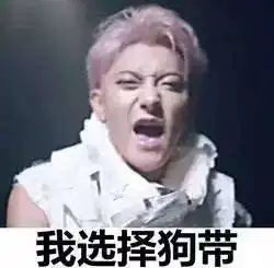  来,让我们用表情包说话
