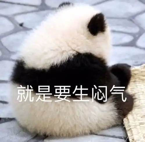  热门可爱表情包图片别看了你承受不住,就是要生闷气
