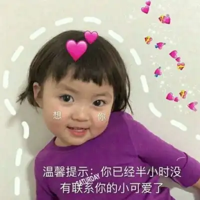  请问你是哪块小饼干