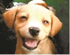  很寂寞啊哎虽然每天在外面工作的时候气势很强讲话有趣很high但是一回到家就会感觉心灵很疲倦啊虽然