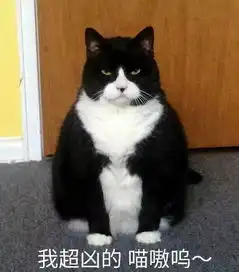  今日表情推荐,125