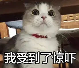  大连海关查到可疑包裹,打开一看吓坏了现场视频曝光