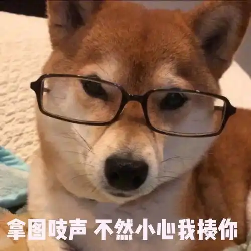  今日份表情包我小饼干给你一棒槌