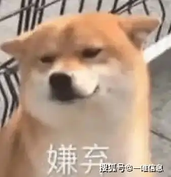  你还在截图教父母如何操作电脑吗远程协助,拒绝繁琐
