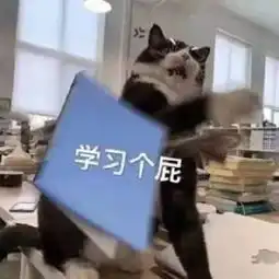  表情包丨沙雕指数五颗星