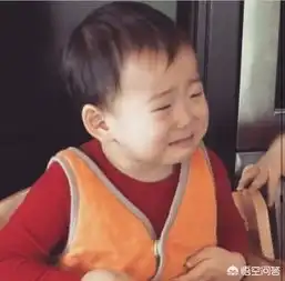  宋家三胞胎上小学现状曝光,宋家三胞胎怎么火了表情包大全