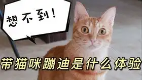  高能大型蹦迪现场苏喂苏喂苏苏喂苏苏苏苏喂苏苏