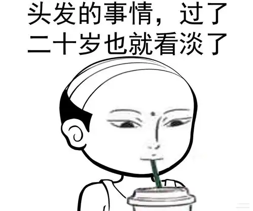  属于脱发青年的表情包我的忧伤,太过闪亮