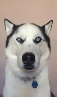  90后们都开始秃了,生发这事早在几百年前就是人生大事