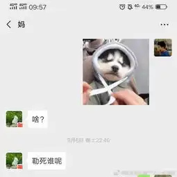  giao哥成了我新男友爸妈对表情包的理解让人崩溃哈哈哈