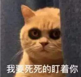 修仙功法表情包周立齐