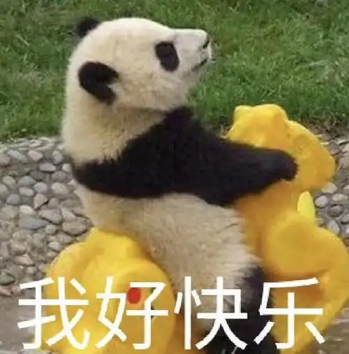 吃席了表情包