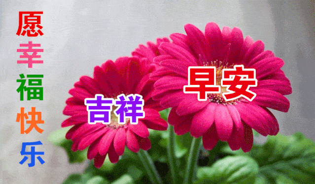  10月21日最漂亮早上好动态表情图片大全,早晨好美图大全