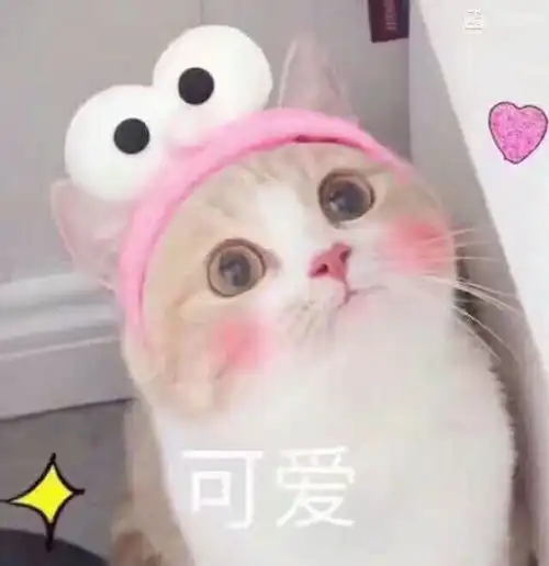  学会他,操作各类中单英雄都不在话下