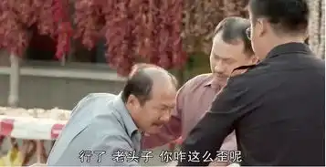 进城了表情包乡村爱情