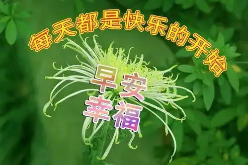  8张最新漂亮早上好问候动画表情包周末早上好问候祝福语短信