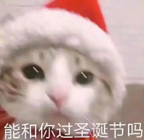  会员福利丨圣诞提前乐,还能看龙猫