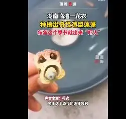 奇怪又可爱花农种的莲蓬神似植物大战僵尸