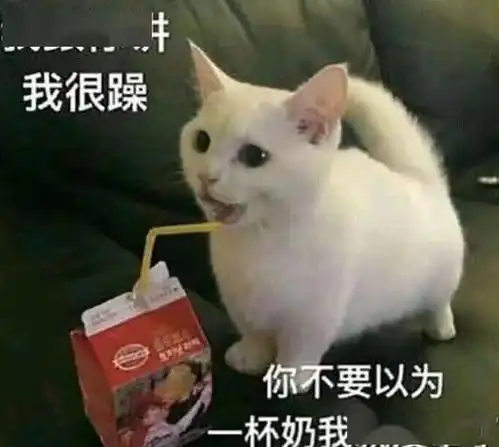 求小饼干表情包大全某某