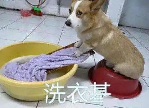  雨止日出,梅雨暂时退散上海下周即将重回30