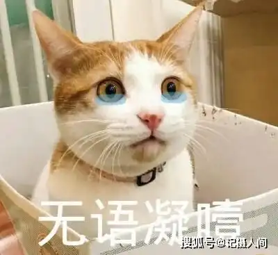  杭州一男子约见男网友,对方提出奇怪要求趁他睡着的时候干了这事