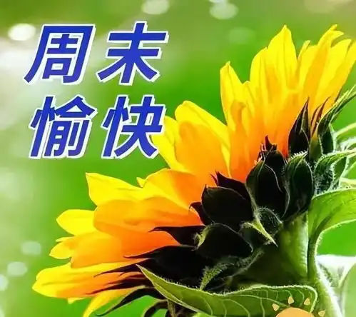 藏语问候表情包大家早上好