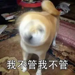 柴犬表情包图片不讲道理