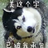  二哈搞笑图片带字表情包女人不要玩火
