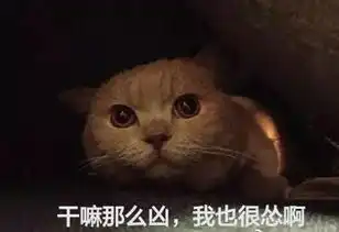 担心表情包猫咪社会