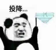  超级爆笑的沙雕表情包好家伙,我直接拿出凳子出来看戏