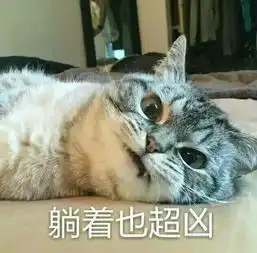  有哪些可爱的表情包