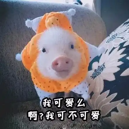  峨眉山猴王奈良流氓鹿巴哈马猪精如何招架景区一霸,为了求生了解一下