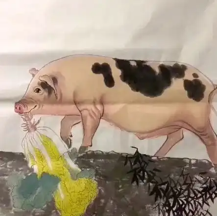  表情猪拱白菜表情包