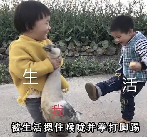  一周输光50万元后的我